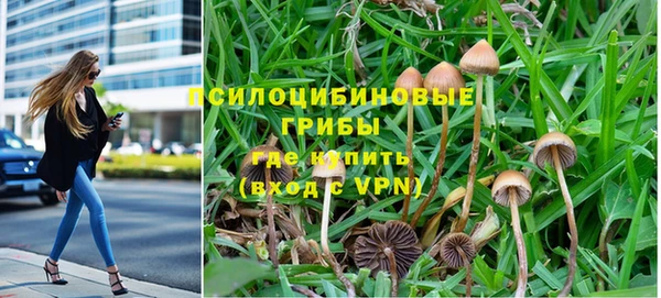 соль ск Алзамай