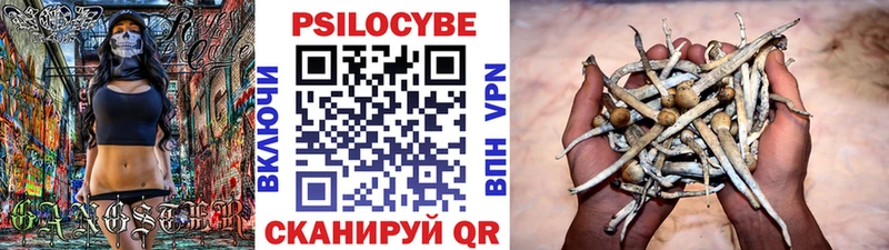 где купить наркоту  Кремёнки  Псилоцибиновые грибы GOLDEN TEACHER 