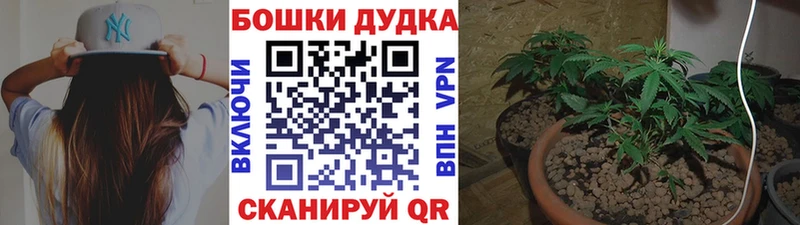 Шишки марихуана гибрид  блэк спрут ONION  Кремёнки 